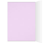 WINTER PEACE BRIGHT-KAART (Binnen (Links))