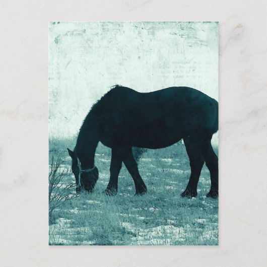 Winter Percheron Briefkaart (Voorkant)