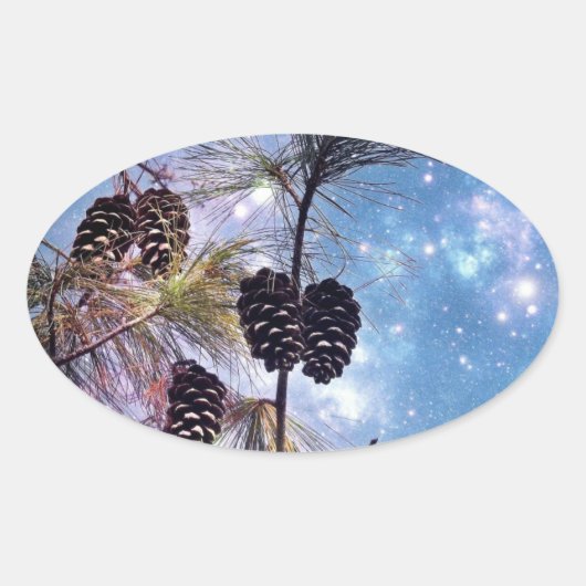 Winter Pine Cones onder een sterrenhemel Ovale Sticker (Voorkant)