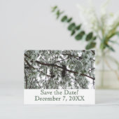 Winter Pine Sparen het Briefkaart van de Datum (Staand voorkant)