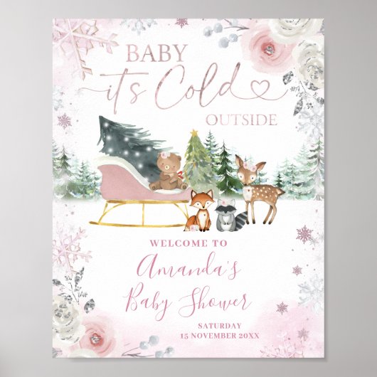 Winter Pink Snowflake Sleigh Baby Shower Welcome Poster (Voorkant)