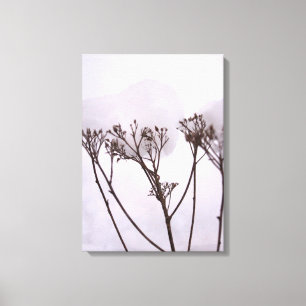 Winter, Planten in de sneeuw Single Canvas Afdruk