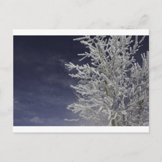 Winter Post Card Briefkaart