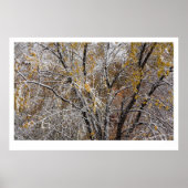 Winter Poster (Voorkant)