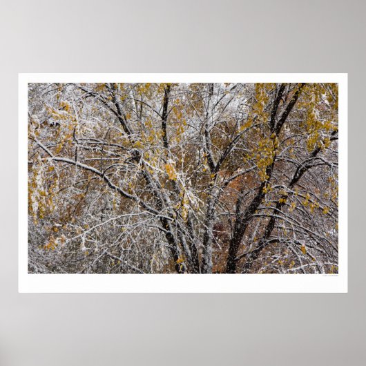 Winter Poster (Voorkant)