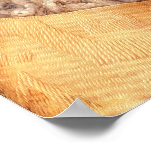 Winter, Poster (Hoek)