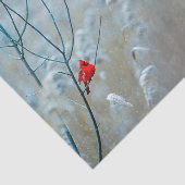 Winter Red Cardinale sneeuwfoto Tissuepapier (Detail)