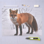 Winter Red Fox Tissuepapier (Craft)