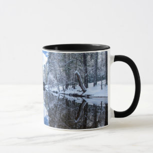 Winter Reflection op Yosemite Mok