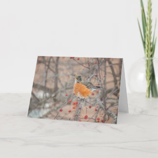 Winter Robin 1 Kaart