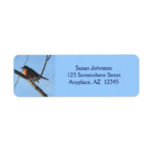 Winter Robin Animal Address Label
