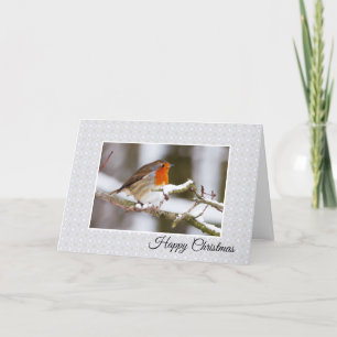Winter Robin Happy Christmas Kaart