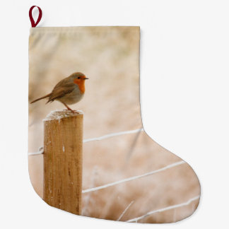 Winter Robin Redbormam Grote Kerstsok