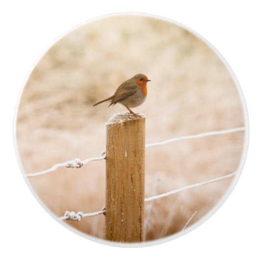 Winter Robin Redbormam Keramische Knop (Voorkant)