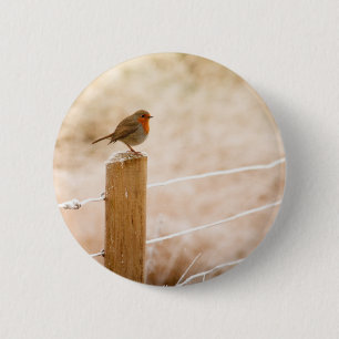 Winter Robin Redbormam Ronde Button 5,7 Cm
