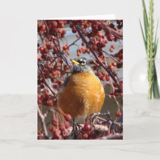 Winter Robin - Vaderdag Kaart