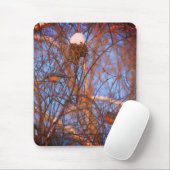 Winter Robins Wildlife Natuur Muismat (Met muis)