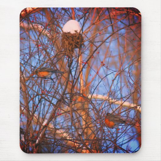 Winter Robins Wildlife Natuur Muismat (Voorkant)