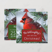 Winter Rode Kardinaal RIP-herdenking Kerst Huwelij Save The Date (Voorkant / Achterkant)