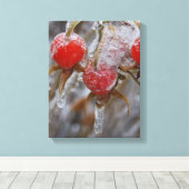 Winter Roos Hips Canvas Afdruk (Insitu (Houten vloer))
