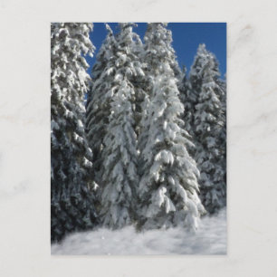 Winter Scene Briefkaart