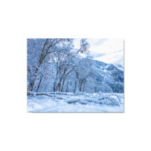 Winter Scene