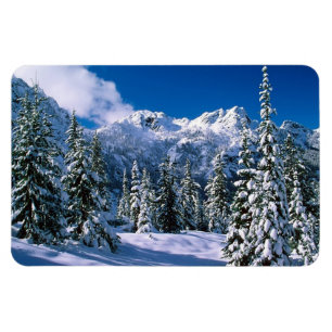 Winter Scene Magnet Magneet