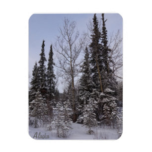 Winter Scene Magnet Magneet