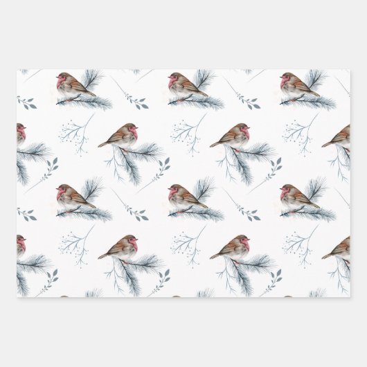 Winter Scenes Birds Trees Branches Snow Kerstmis Inpakpapier Vel (Voorkant)