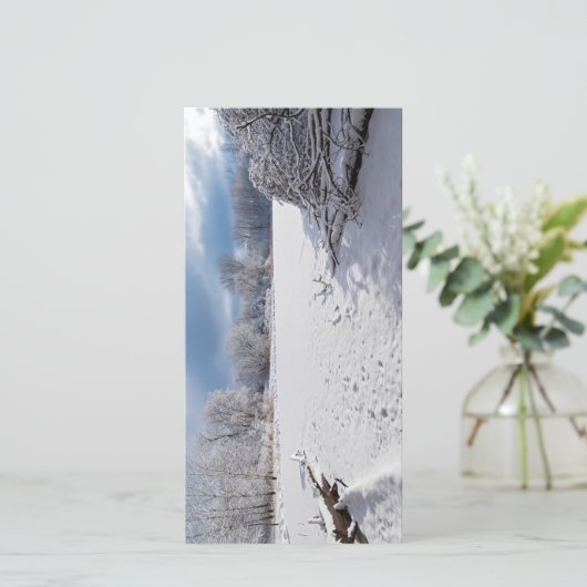 winter schilderachtig langs vijver en bossen van s (Staand voorkant)