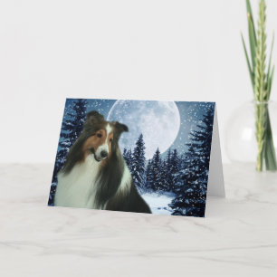 Winter Sheltie Card Feestdagen Kaart