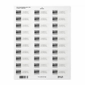 Winter Silver Snowflake Return Address Label (Full Sheet)