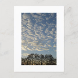Winter Sky Briefkaart