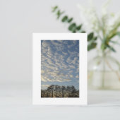 Winter Sky Briefkaart (Staand voorkant)