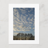 Winter Sky Briefkaart (Voorkant)
