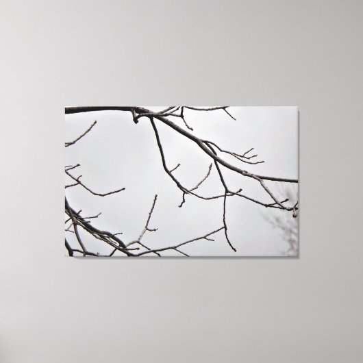 Winter Sky Canvas Kunstdruk Afdruk (Voorkant)