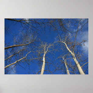 Winter sky poster