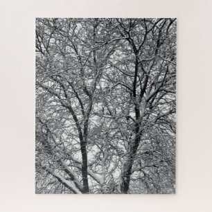 Winter Sneeuw Boomtakken Foto Legpuzzel
