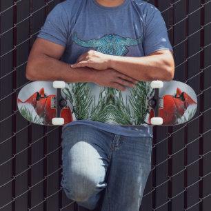 Winter Sneeuw Rode Kardinaal Vogel Kerstvakantie Skateboard