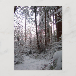WINTER SNEEUWSCENE VAN SHARON SHARPE BRIEFKAART