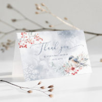 Winter sneeuwvlokken stoffig blauw baby shower dan