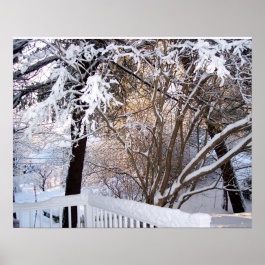 Winter sneeuwzicht vanaf de voorste veranda poster (Voorkant)