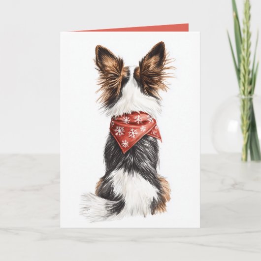 Winter Snorharen (Voorkant)