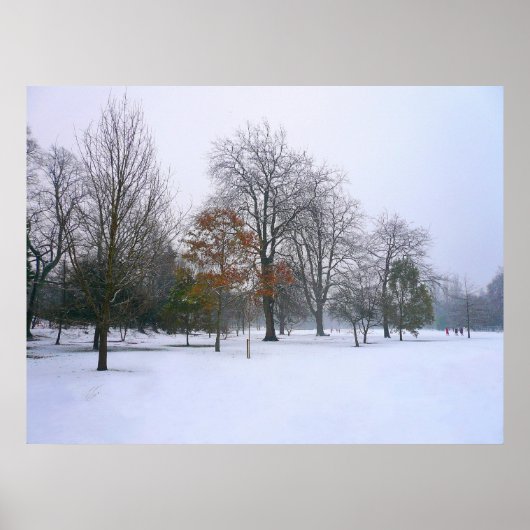 Winter Snow, Bute Park, Cardiff, Wales Poster (Voorkant)
