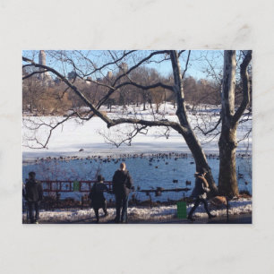 Winter Snow Central Park Lake New York City NYC Briefkaart