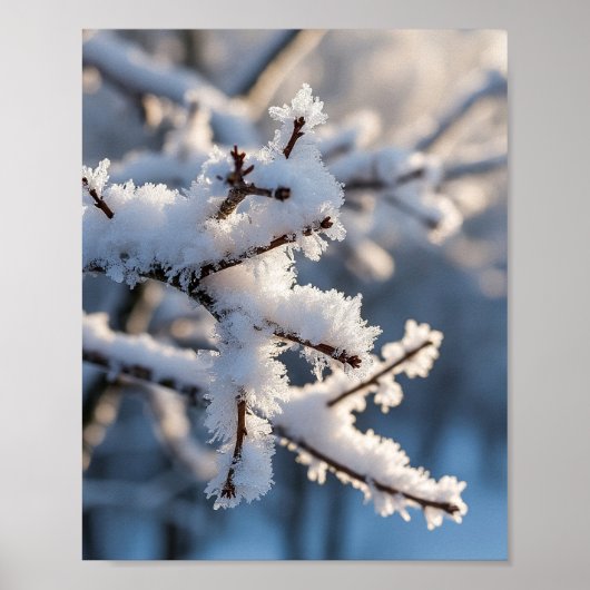 Winter Snow Frosty Tree Branch Sunlight Poster (Voorkant)