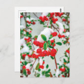 Winter Snow Red Berries Briefkaart (Voorkant / Achterkant)