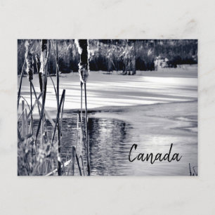 Winter Snow Shadows Black White Canada Souvenir Briefkaart