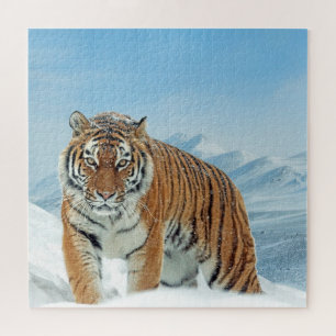 Winter Snow Tiger Mountains Animal Foto Trendy Legpuzzel