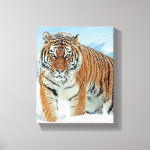 Winter Snow Tiger Mountains Natuur Photo Canvas Afdruk